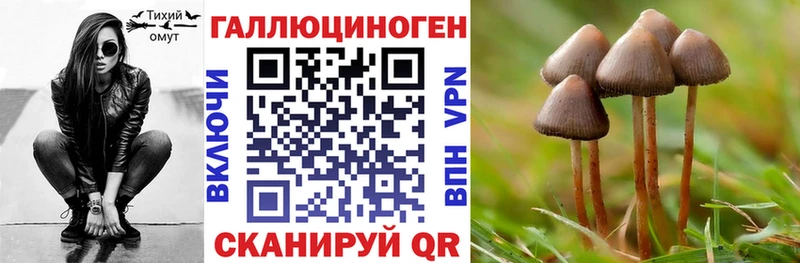 Купить  Баксан  Галлюциногенные грибы GOLDEN TEACHER 